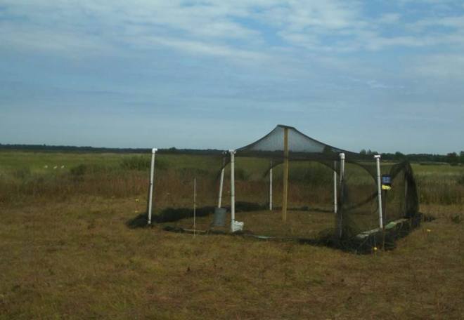 What's this? At Necedah NWR: a temporary pen for the Parent-Reared Whooping Crane program. (USFWS photo, used with permission) 